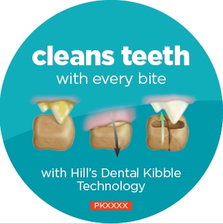 DENTAL FÔRKULETEKNOLOGI