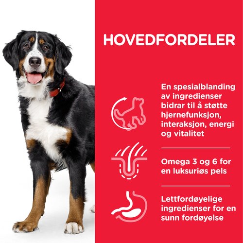sp-canine-science-plan-adult-5-plus-youthful-vitality-large-breed-with-chicken-and-rice-dry