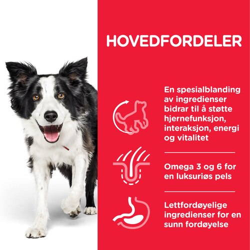 sp-canine-science-plan-adult-7-plus-youthful-vitality-medium-breed-with-chicken-and-rice-dry